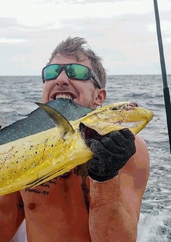 Mahi Mahi / Dorado fishing in Galveston, Texas