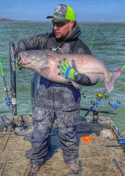 Blue Catfish fishing in Dallas, Texas