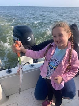 Bluefish Fishing in Wanchese, North Carolina