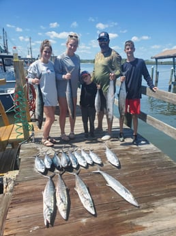 Amberjack, Little Tunny / False Albacore, Mahi Mahi / Dorado fishing in Port Orange, Florida