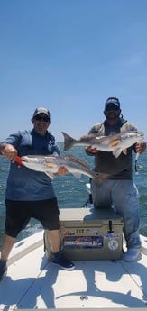 Redfish fishing in Mount Pleasant, South Carolina