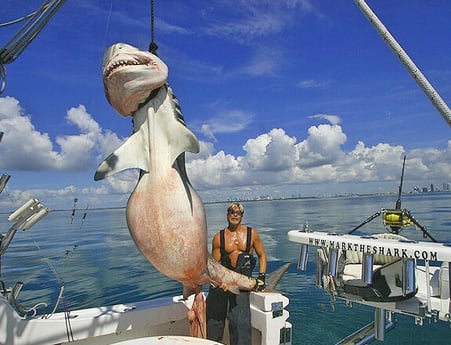 Fishing in Pompano Beach, Florida
