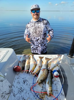 Redfish, Speckled Trout / Spotted Seatrout Fishing in Rio Hondo, Texas