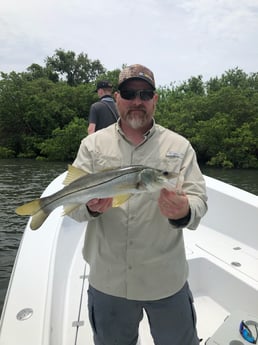 Snook Fishing in Tampa, Florida