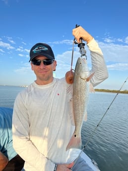 Redfish Fishing in Galveston, Texas