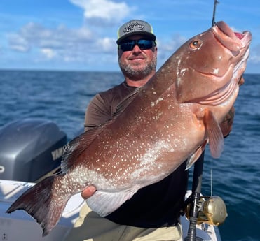 Red Grouper fishing in Clearwater, Florida, USA