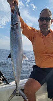 Spanish Mackerel fishing in South Padre Island, Texas