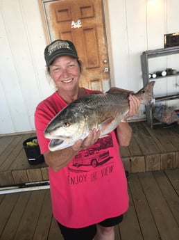 Redfish fishing in Venice, Louisiana