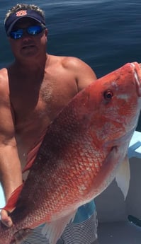 Red Snapper Fishing in Orange Beach, Alabama