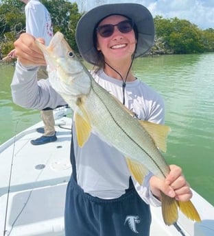 Snook fishing in Tavernier, Florida