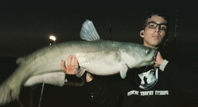 Blue Catfish fishing in Dallas, Texas