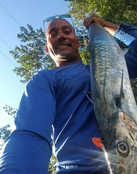 King Mackerel / Kingfish Fishing in Wrightsville Beach, North Carolina