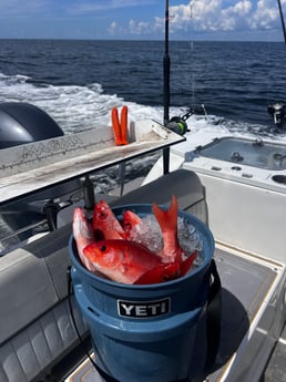 Fishing in St. Augustine, Florida