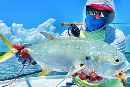 Jack Crevalle fishing in Tavernier, Florida