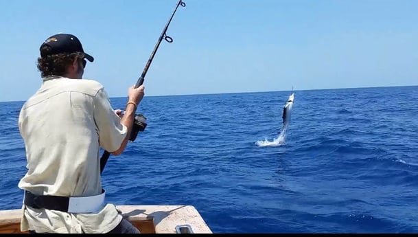 Sailfish Fishing in Islamorada, Florida