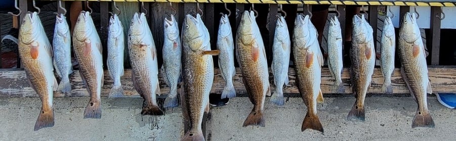 Redfish, Speckled Trout / Spotted Seatrout fishing in Aransas Pass, Texas