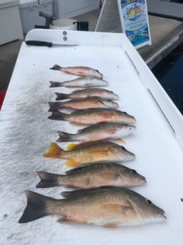 Fishing in Key West, Florida