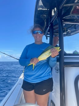 Mahi Mahi Fishing in Key Largo, Florida