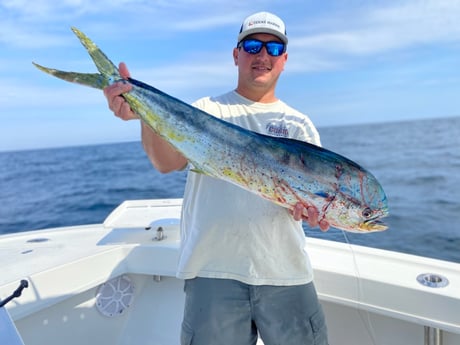 Amberjack Fishing in Jacksonville, Florida