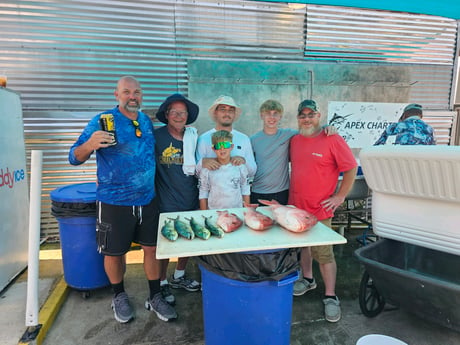 Mahi Mahi, Red Snapper Fishing in Destin, Florida