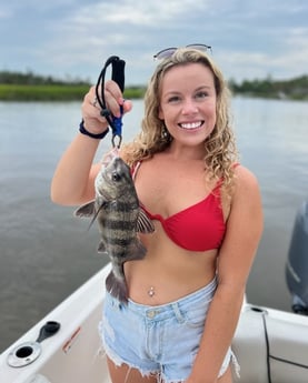 Black Drum Fishing in Mount Pleasant, South Carolina