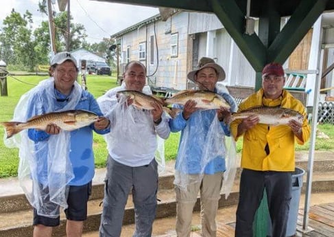 Redfish fishing in Sulphur, Louisiana