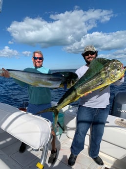 Mahi Mahi Fishing in Key Largo, Florida