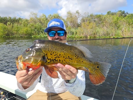 Fishing in Fort Lauderdale, Florida