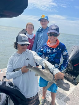Bonnethead Shark Fishing in Holmes Beach, Florida