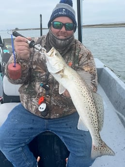 Speckled Trout / Spotted Seatrout Fishing in Corpus Christi, Texas