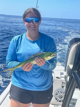 Mahi Mahi Fishing in Key Largo, Florida