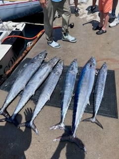 Wahoo Fishing in Gulf Shores, Alabama