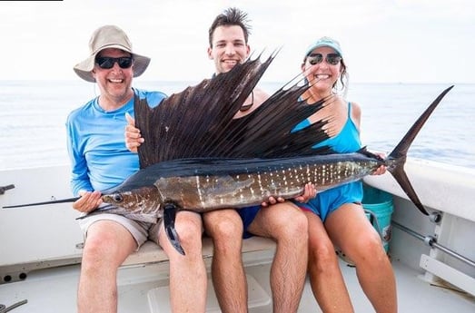 Sailfish Fishing in Boynton Beach, Florida