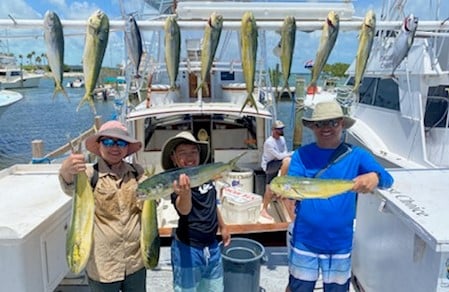 Little Tunny / False Albacore, Mahi Mahi / Dorado fishing in Islamorada, Florida