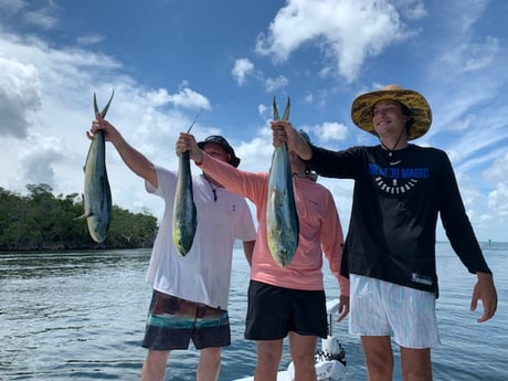 Mahi Mahi / Dorado fishing in Key Largo, Florida