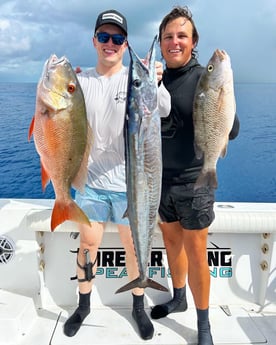 Mangrove Snapper, Mutton Snapper, Wahoo Fishing in Islamorada, Florida