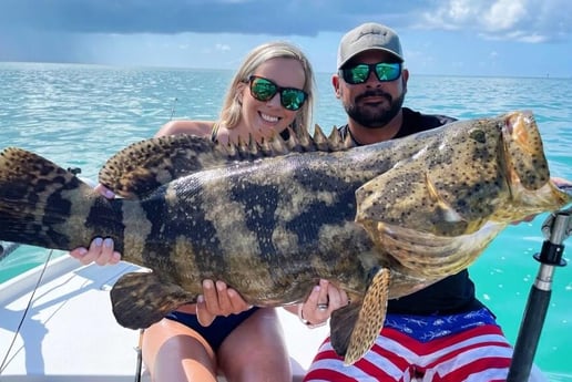 Goliath Grouper fishing in Tavernier, Florida