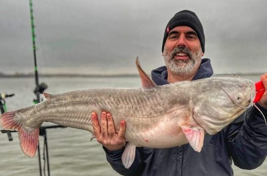 Blue Catfish Fishing in Dallas, Texas