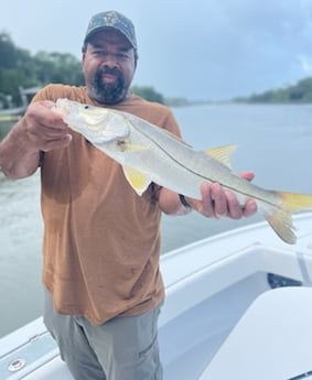 Snook fishing in Palm Coast, Florida