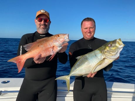 Mutton Snapper, Yellowtail Amberjack fishing in Islamorada, Florida