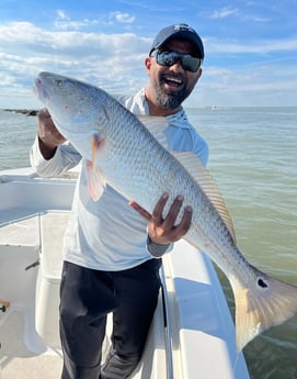 Redfish Fishing in Galveston, Texas