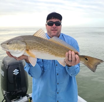 Redfish fishing in Port O&#039;Connor, Texas