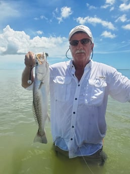 Speckled Trout / Spotted Seatrout fishing in Aransas Pass, Texas