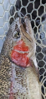 Fishing in Broken Bow, Oklahoma