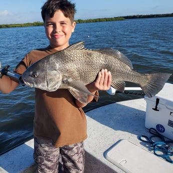 Black Drum fishing in New Smyrna Beach, Florida