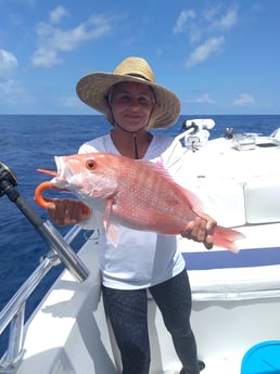 Red Snapper fishing in Clearwater, Florida