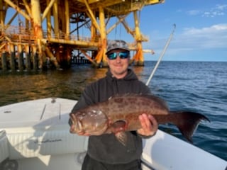 King Mackerel / Kingfish fishing in Venice, Louisiana