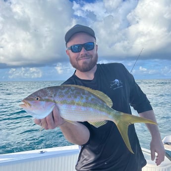 Yellowtail Snapper Fishing in Marathon, Florida