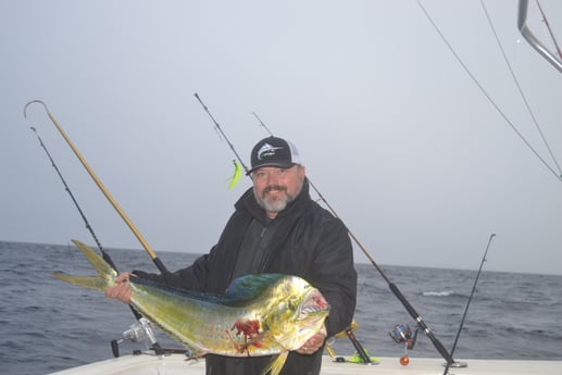 Mahi Mahi / Dorado fishing in Galveston, Texas