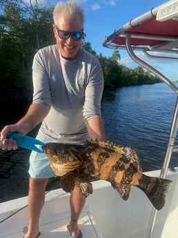 Goliath Grouper fishing in Naples, Florida